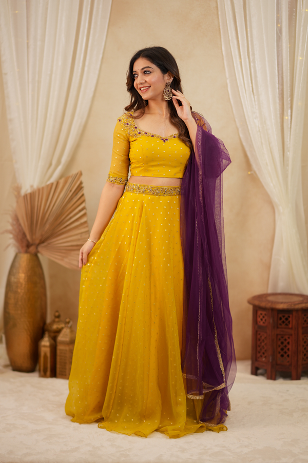 Haldi collection