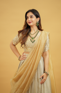Aditi 2