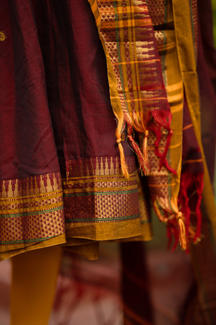 Tanvika collection