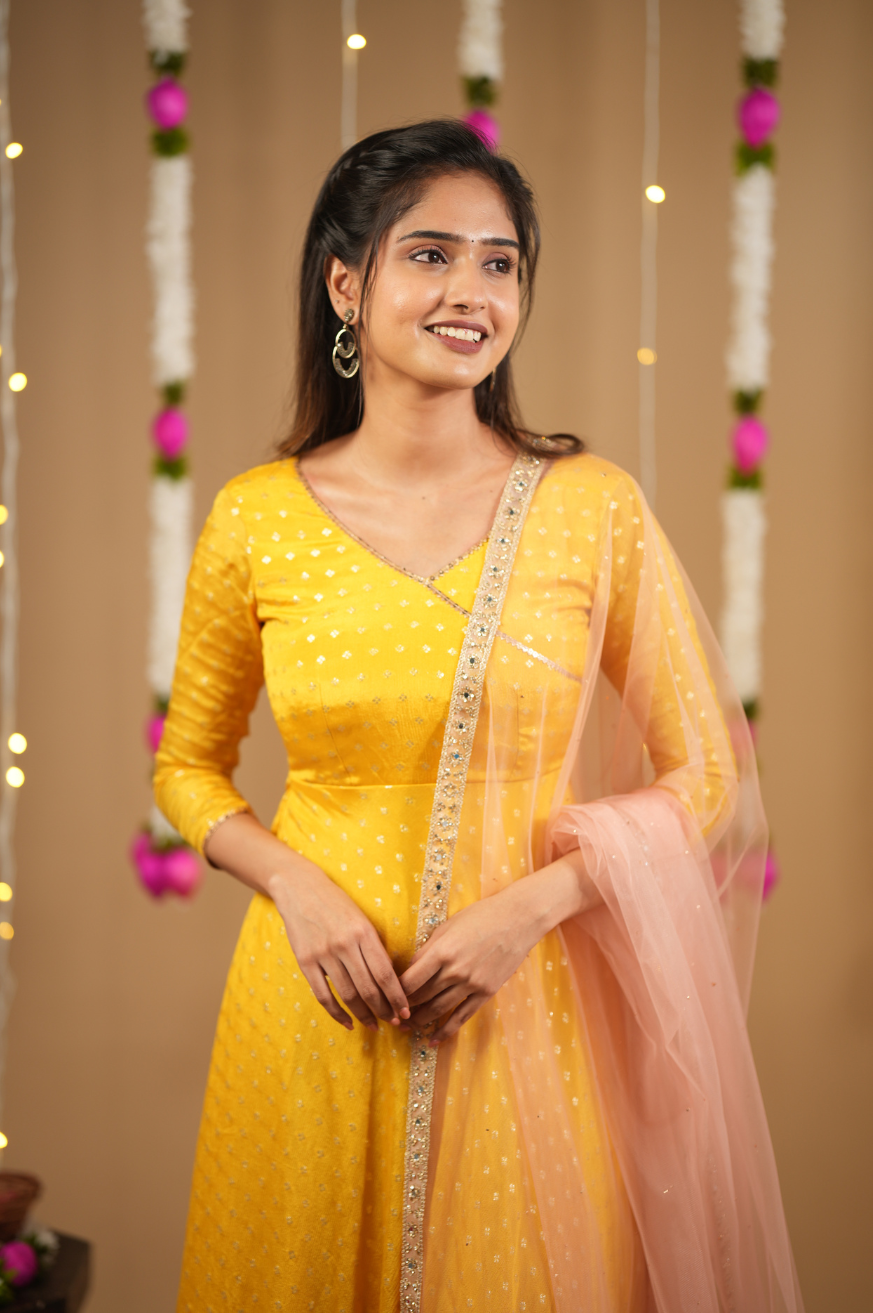 Sai Collection
Festive Anarkali