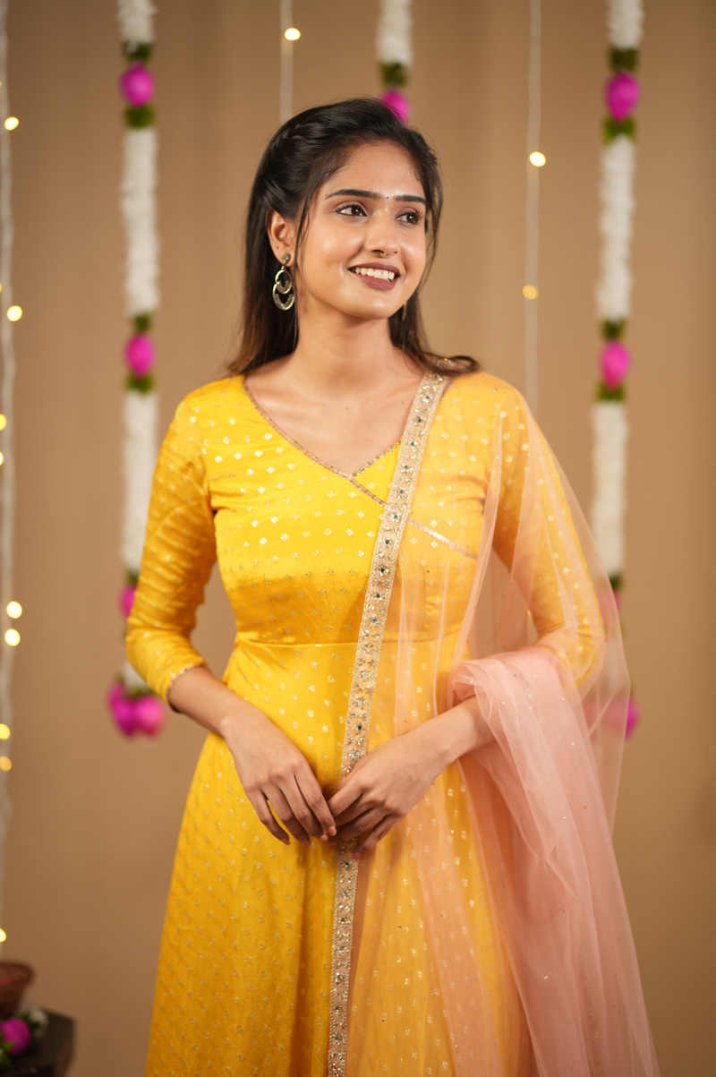 Sai Collection
Festive Anarkali