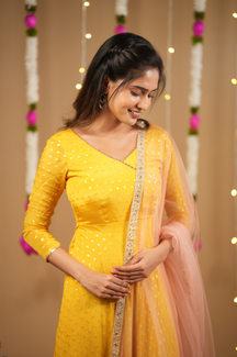 Sai Collection
Festive Anarkali