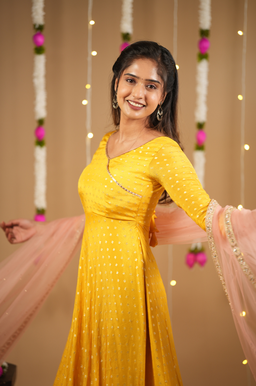 Sai Collection
Festive Anarkali