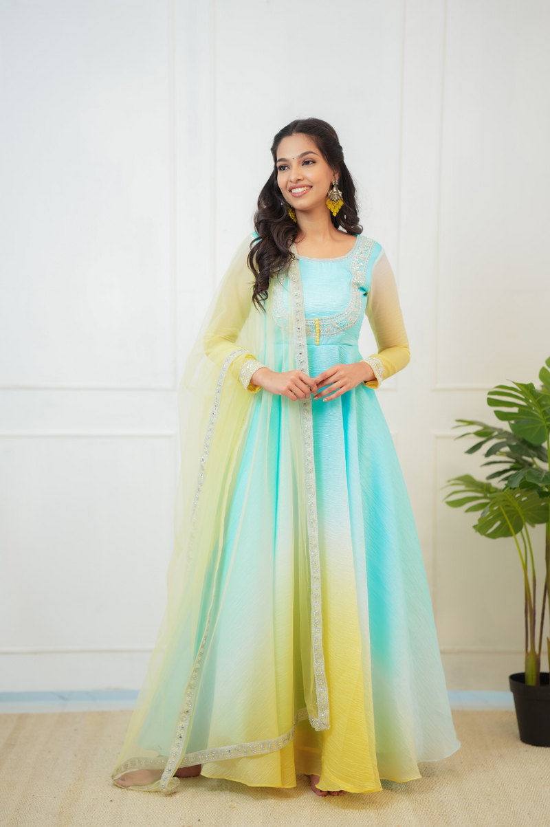 Lisha Collection
Premium Designer Anarkali