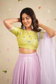 Meha Collection
Premium Designer Contrast Lehanga